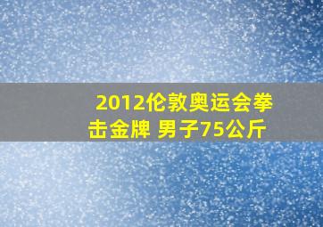 2012伦敦奥运会拳击金牌 男子75公斤